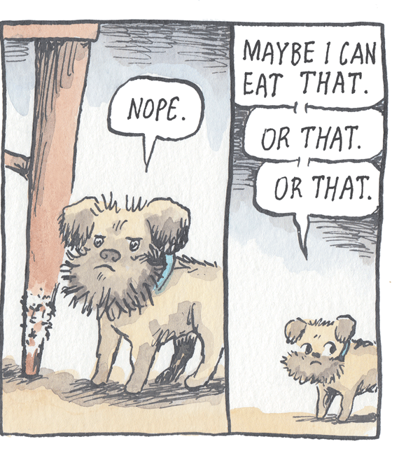 Snout OCR: MAYBE I CAN EAT THAT. NOPE. OR THAT. OR THAT. MAYBE I CAN EAT THAT. NOPE. OR THAT. OR THAT.
