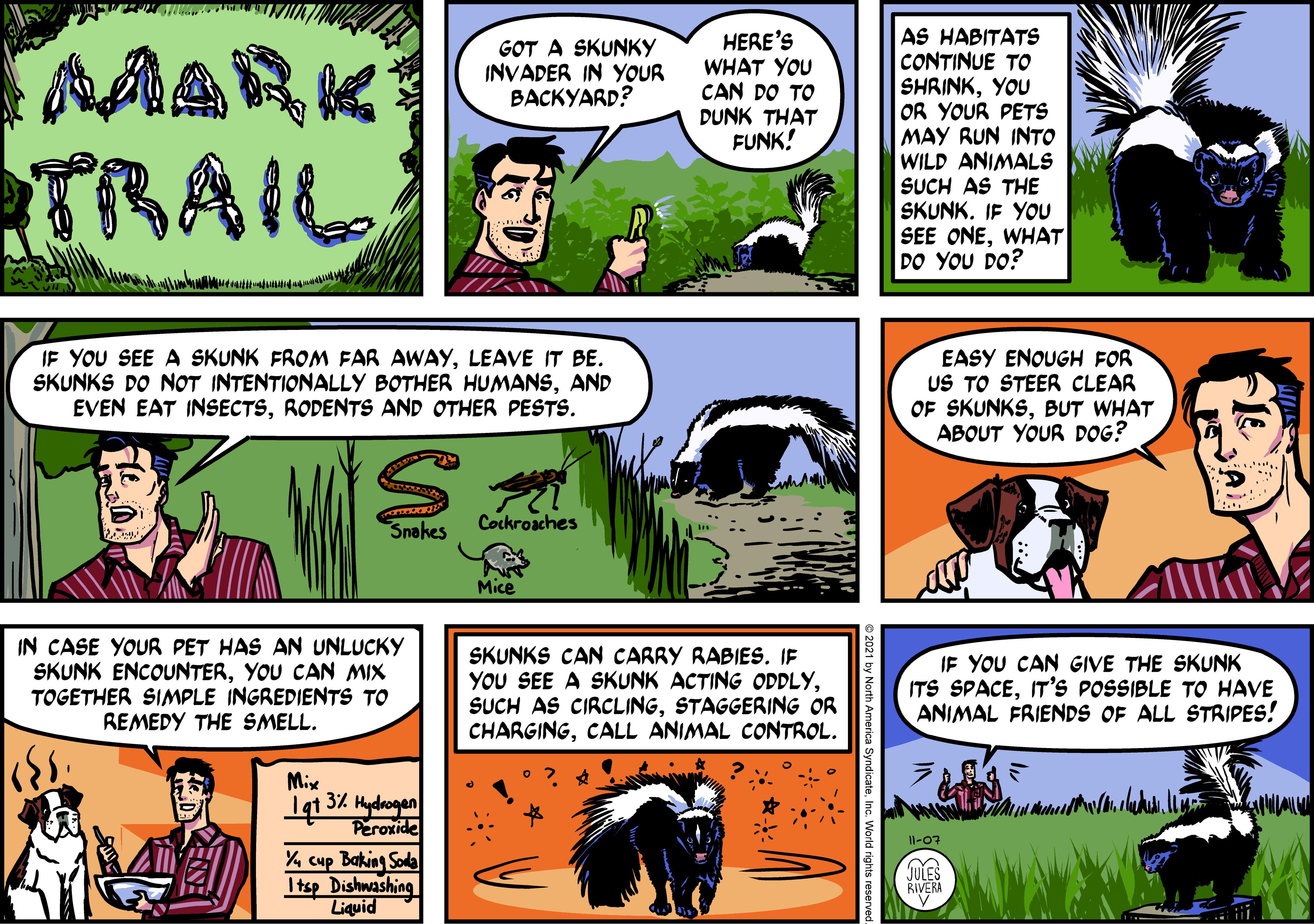 Line OCR: AARK TRAIL HERE'S WHAT YOU CAN DO TO DUNK THAT FUNK! AS HABITATS CONTINUE TO SHRINKYOU OR YOUR PETS MAY RUN INTO WILD ANIMALS SUCH AS THE SKUNK. IF YOU SEE ONEWHAT DO YOU DO? GOT A SKUNKY INVADER IN YOUR BACKYARD? IF YOU SEE A SKUNK FROM FAR AWAYLEAVE IT BE. SKUNKS DO NOT INTENTIONALLY BOTHER HUMANSAND EVEN EAT INSECTSRODENTS AND OTHER PESTS. EASY ENOUGH FOR US TO STEER CLEAR OF SKUNKSBUT WHAT ABOUT YOUR DOG? Snekes Cockroaches Mice IN CASE YOUR PET HAS AN UNLUCKY SKUNK ENCOUNTERYOU CAN MIX TOGETHER SIMPLE INGREDIENTS TO REMEDY THE SMELL. SKUNKS CAN CARRY RABIES. IF YOU SEE A SKUNK ACTING ODDLYSTAGGERING OR CHARGINGCALL ANIMAL CONTROL. IF YOU CAN GIVE THE SKUNK ITS SPACEIT'S POSSIBLE TO HAVE ANIMAL FRIENDS OF ALL STRIPES! Mix Iqt 3% Hydaogan Peroxide %cup Bakinn Soda Itsp Dishwashing Liquid I1-07 JULES RIVERA teInc. World rights reservec AARK TRAIL HERE'S WHAT YOU CAN DO TO DUNK THAT FUNK! AS HABITATS CONTINUE TO SHRINKYOU OR YOUR PETS MAY RUN INTO WILD ANIMALS SUCH AS THE SKUNK. IF YOU SEE ONEWHAT DO YOU DO? GOT A SKUNKY INVADER IN YOUR BACKYARD? IF YOU SEE A SKUNK FROM FAR AWAYLEAVE IT BE. SKUNKS DO NOT INTENTIONALLY BOTHER HUMANSAND EVEN EAT INSECTSRODENTS AND OTHER PESTS. EASY ENOUGH FOR US TO STEER CLEAR OF SKUNKSBUT WHAT ABOUT YOUR DOG? Snekes Cockroaches Mice IN CASE YOUR PET HAS AN UNLUCKY SKUNK ENCOUNTERYOU CAN MIX TOGETHER SIMPLE INGREDIENTS TO REMEDY THE SMELL. SKUNKS CAN CARRY RABIES. IF YOU SEE A SKUNK ACTING ODDLYSUCH AS CIRCLINGSTAGGERING OR CHARGINGCALL ANIMAL CONTROL. IF YOU CAN GIVE THE SKUNK ITS SPACEIT'S POSSIBLE TO HAVE ANIMAL FRIENDS OF ALL STRIPES! Mix Iqt 3% Hydaogan Peroxide %cup Bakinn Soda Itsp Dishwashing Liquid I1-07 JULES RIVERA teInc. World rights reservec