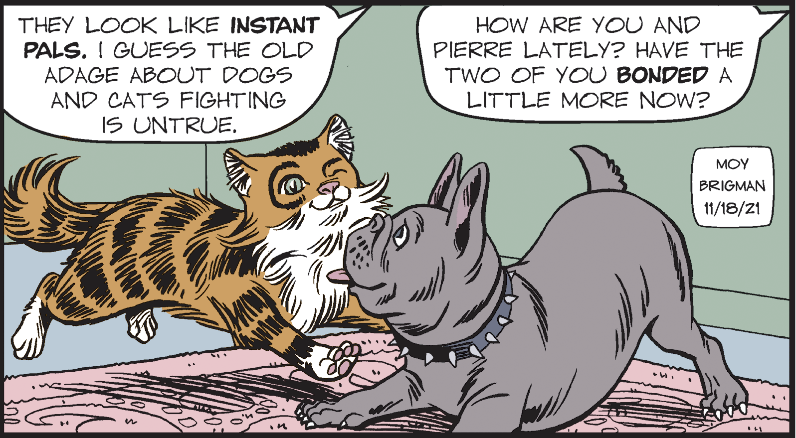 Adaptation OCR: THEY LOOK LIKE INSTANT PALS. I GUESS THE OLD ADAGE ABOUT DOGS HOW ARE YOU AND PIERRE LATELY? HAVE THE TWO OF YOU BONDED A LITTLE MORE NOW? AND CATS FIGHTING IS UNTRUE. ?OY BRIGMAN 11/18/21 THEY LOOK LIKE INSTANT PALS. I GUESS THE OLD ADAGE ABOUT DOGS HOW ARE YOU AND PIERRE LATELY? HAVE THE TWO OF YOU BONDED A LITTLE MORE NOW? AND CATS FIGHTING IS UNTRUE. ?OY BRIGMAN 11/18/21