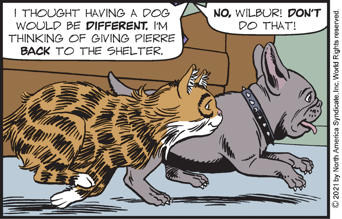 Snout OCR: I THOUGHT HAVING A DOG WOULD BE DIFFERENT. I'M THINKING OF GIVING PIERRE BACK TO THE SHELTERWILBUR! DON'T DO THAT! © 2021 by North America SyndicateInc. World Rights reserved. I THOUGHT HAVING A DOG WOULD BE DIFFERENT. I'M THINKING OF GIVING PIERRE BACK TO THE SHELTERWILBUR! DON'T DO THAT! © 2021 by North America SyndicateInc. World Rights reserved.