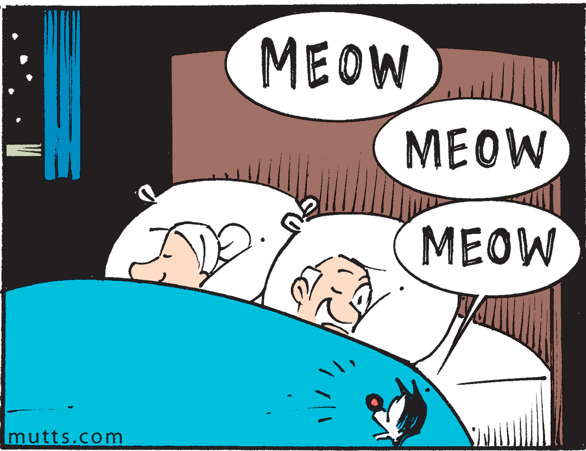 Line OCR: MEOW MEOW MEOW mutts.com MEOW MEOW MEOW mutts.com