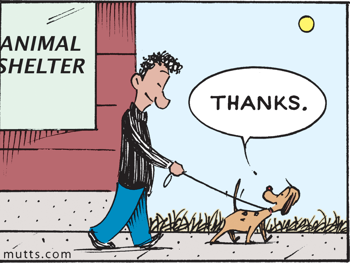 Carnivore OCR: ANIMAL SHELTER THANKS. mutts.com ANIMAL SHELTER THANKS. mutts.com