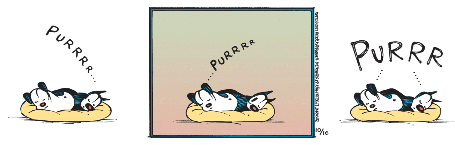Painting OCR: PURRR.. PURRR PURRRR 116 PURRR.. PURRR PURRRR 116