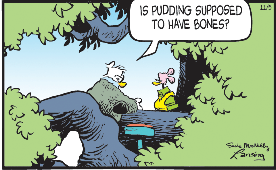 Illustration OCR: IS PUDDING SUPPOSED TO HAVE BONES? 11/5 Susie MacNelly Kansing IS PUDDING SUPPOSED TO HAVE BONES? 11/5 Susie MacNelly Kansing