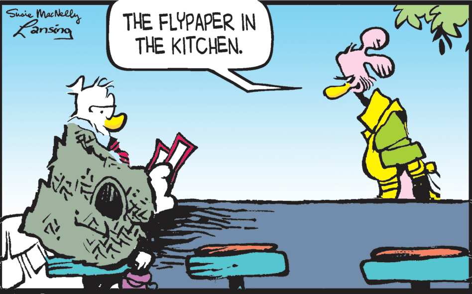 Font OCR: Suaie MacNelly Lansing THE FLYPAPER IN THE KITCHEN. ? Suaie MacNelly Lansing THE FLYPAPER IN THE KITCHEN. ?