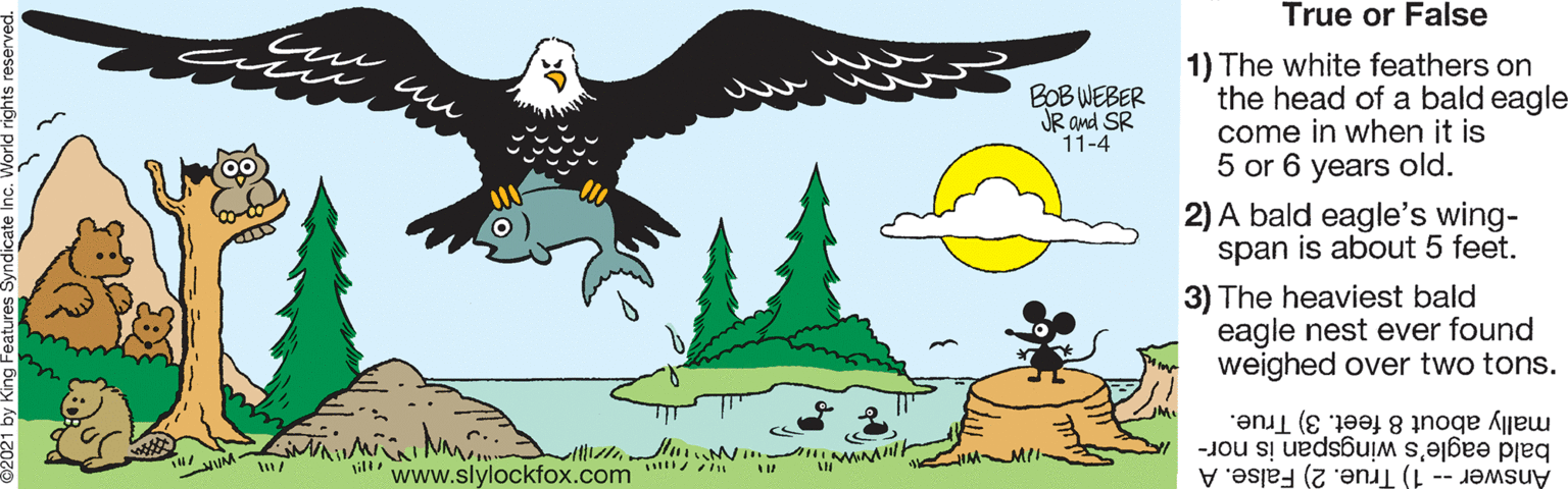 Grass OCR: True or False BOB WEBER JR and SR 11-4 1) The white feathers on the head of a bald eagle- come in when it is 5 or 6 years old. 2) A bald eagle's wing- span is about 5 feet. 3) The heaviest bald eagle nest ever found weighed over two tons. mally about 8 feet. 3) True. il www.slylockfox.com bald eagle's wingspan is nor- Answer -- 1) True. 2) False. A True or False BOB WEBER JR and SR 11-4 1) The white feathers on the head of a bald eagle- come in when it is 5 or 6 years old. 2) A bald eagle's wing- span is about 5 feet. 3) The heaviest bald eagle nest ever found weighed over two tons. mally about 8 feet. 3) True. il www.slylockfox.com bald eagle's wingspan is nor- Answer -- 1) True. 2) False. A