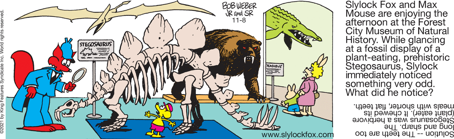 Illustration OCR: Slylock Fox and Max Mouse are enjoying the afternoon at the Forest City Museum of Natural History. While glancing at a fossil display of a plant-eatingprehistoric StegosaurusSlylock immediately notíced something very odd. What did he nótice? BOB WEBER JR and SR 11-8 STEGOSAURUS XASURUr meals with shorterflat teeth. (plant eater). It chewed its Stegosaurus was a herbivore long and sharp. The Solution -- The teeth are too www.slylockfox.com Slylock Fox and Max Mouse are enjoying the afternoon at the Forest City Museum of Natural History. While glancing at a fossil display of a plant-eatingprehistoric StegosaurusSlylock immediately notíced something very odd. What did he nótice? BOB WEBER JR and SR 11-8 STEGOSAURUS XASURUr meals with shorterflat teeth. (plant eater). It chewed its Stegosaurus was a herbivore long and sharp. The Solution -- The teeth are too www.slylockfox.com