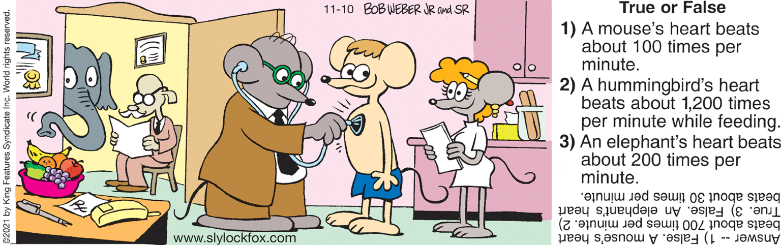 Gesture OCR: 11-10 BOB WEBER JR and SR True or False 1) A mouse's heart beats about 100 times per minute. 2) A hummingbird's heart beats about 1200 times per minute while feeding. 3) An elephant's heart beats about 200 times per minute. True. 3) False. An elephant's heart beats about 30 times per minute. www.slylockfox.com beats about 700 times per minute. 2) Answer 1) False. A mouse's heart 2021 by King Features Syndicate Inc. World rights re 11-10 BOB WEBER JR and SR True or False 1) A mouse's heart beats about 100 times per minute. 2) A hummingbird's heart beats about 1200 times per minute while feeding. 3) An elephant's heart beats about 200 times per minute. True. 3) False. An elephant's heart beats about 30 times per minute. www.slylockfox.com beats about 700 times per minute. 2) Answer 1) False. A mouse's heart 2021 by King Features Syndicate Inc. World rights re