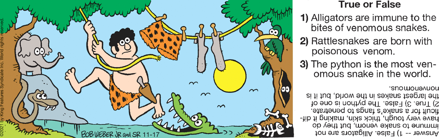 Happy OCR: True or False 1) Alligators are immune to the bites of venomous snakes. Rattlesnakes are born with poisonous venom. 3) The python is the most ven- omous snake in the world. the largest snakes in the worldbut it is nonvenomous. 2) True. 3) False. The python is one of ficult for a snake's fangs to penetrate. have very toughmaking it dif- immune to snake venombut they do BOB WEBER JR and SR 11-17 Answer -- 1) False. Alligators are not True or False 1) Alligators are immune to the bites of venomous snakes. Rattlesnakes are born with poisonous venom. 3) The python is the most ven- omous snake in the world. the largest snakes in the worldbut it is nonvenomous. 2) True. 3) False. The python is one of ficult for a snake's fangs to penetrate. have very toughthick skinmaking it dif- immune to snake venombut they do BOB WEBER JR and SR 11-17 Answer -- 1) False. Alligators are not