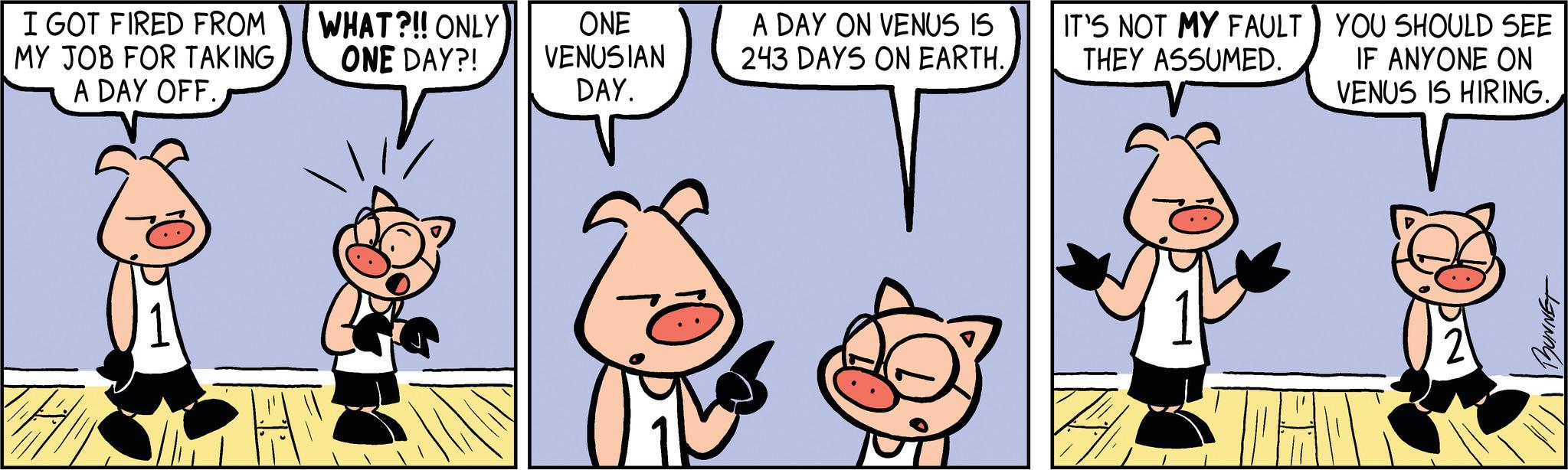 Art OCR: I GOT FIRED FROM MY JOB FOR TAKING A DAY OFF. WHAT?!! ONLY ONE DAY?! ONE VENUSIAN DAY. A DAY ON VENUS IS 243 DAYS ON EARTH. IT'S NOT MY FAULT THEY ASSUMED. YOU SHOULD SEE IF ANYONE ON VENUS IS HIRING. BUNNET I GOT FIRED FROM MY JOB FOR TAKING A DAY OFF . WHAT ? !! ONLY ONE DAY ?! ONE VENUSIAN DAY . A DAY ON VENUS IS 243 DAYS ON EARTH . IT'S NOT MY FAULT THEY ASSUMED . YOU SHOULD SEE IF ANYONE ON VENUS IS HIRING . BUNNET