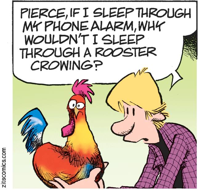 Line OCR: PIERCEIF I SLEEP THROUGH MK PHONE ALARMWHY WOULDN'T I SLEEP THROUGH A ROOSTER CROWING? zitscomics.com PIERCEIF I SLEEP THROUGH MK PHONE ALARMWHY WOULDN'T I SLEEP THROUGH A ROOSTER CROWING? zitscomics.com