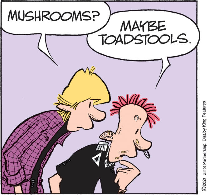 Happy OCR: MUSHROOMS? MAYBE TOADSTOOLS. ©2021 ZITS Partnership. Distby King Features MUSHROOMS? MAYBE TOADSTOOLS. ©2021 ZITS Partnership. Distby King Features