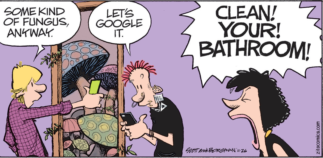 Interaction OCR: SOME KIND OF FUNGUSANTWAY. LET'S GOOGLE IT. CLEAN! Z YOUR! BATHROOM! ScOIT andBORGnAN' 26 zitscomics.com SOME KIND OF FUNGUSANTWAY. LET'S GOOGLE IT. CLEAN! Z YOUR! BATHROOM! ScOIT andBORGnAN' 26 zitscomics.com