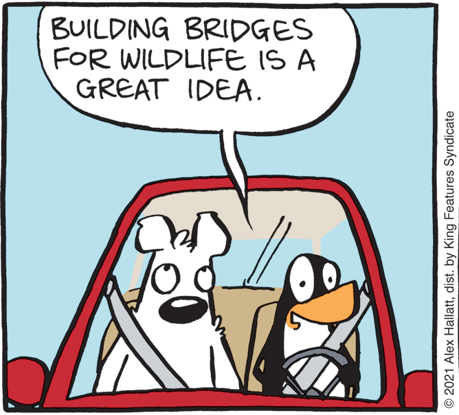 Line OCR: BUILDING BRIDGES FOR WILDLIFE IS A GREAT IDEA. © 2021 Alex Hallattdist. by King Features Syndicate BUILDING BRIDGES FOR WILDLIFE IS A GREAT IDEA. © 2021 Alex Hallattdist. by King Features Syndicate