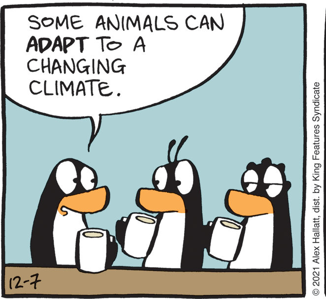 Rectangle OCR: SOME ANIMALS CAN ADAPT TO A CHANGING CLIMATE. 12-7 © 2021 Alex Hallattdist. by King Features Syndicate SOME ANIMALS CAN ADAPT TO A CHANGING CLIMATE. 12-7 © 2021 Alex Hallattdist. by King Features Syndicate