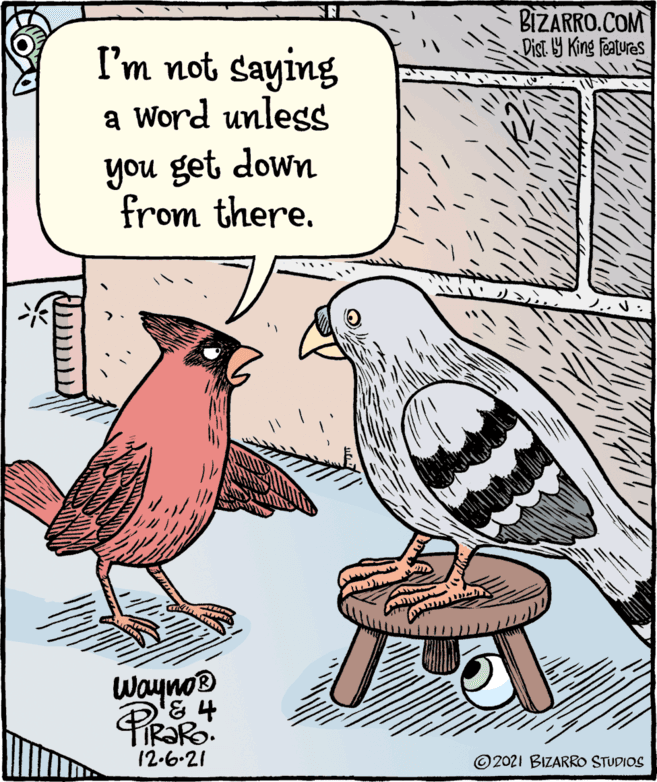 Parallel OCR: BIZARRO.COM Dist Y King features I'm not saying a Word unless you get down from there. Wayno® 12-6-21 © 2021 BIZARRO STUDIOS BIZARRO.COM Dist Y King features I'm not saying a Word unless you get down from there. Wayno® 12-6-21 © 2021 BIZARRO STUDIOS