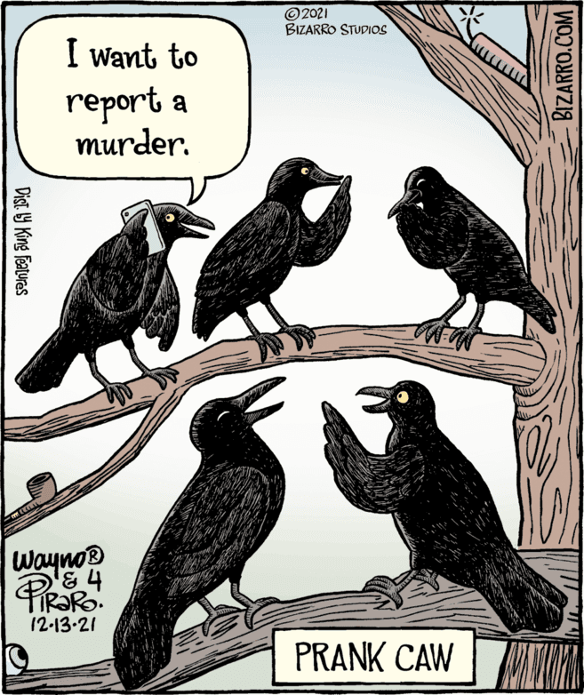 Advertising OCR: © 2021 BIZARRO STUDIOS I want to report a murder. Wayno & 4 R?RO. 12-13-21 PRANK CAW Dist Y King features BIZARRO.COM © 2021 BIZARRO STUDIOS I want to report a murder. Wayno & 4 R?RO. 12-13-21 PRANK CAW Dist Y King features BIZARRO.COM
