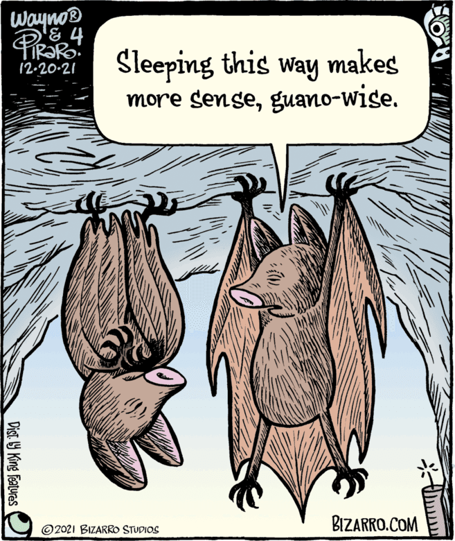 Adaptation OCR: Wayno® Sleeping this way makes more senseguano-wise. 12-20-21 © 2021 BIZARRO STUDIOS BIZARRO.COM Dist. Y King features Wayno® Sleeping this way makes more senseguano-wise. 12-20-21 © 2021 BIZARRO STUDIOS BIZARRO.COM Dist. Y King features