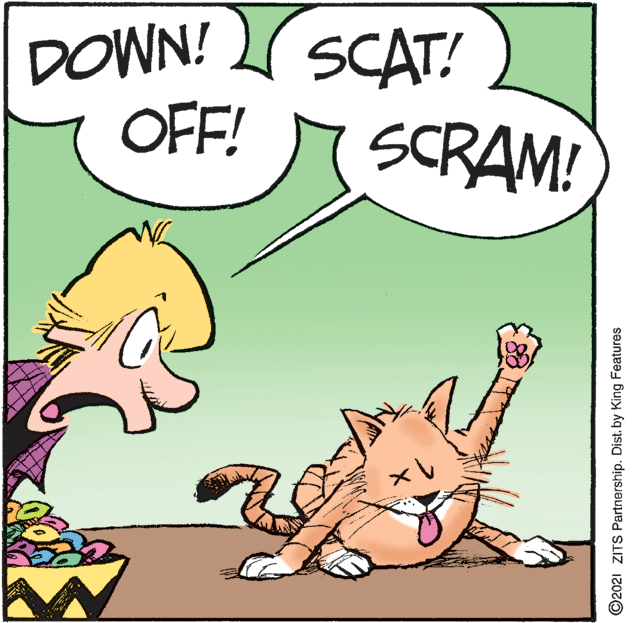 Adaptation OCR: DOWN! SCAT! OFF! SCRAM! ©2021 ZITS Partnership. Distby King Features DOWN! SCAT! OFF! SCRAM! ©2021 ZITS Partnership. Distby King Features