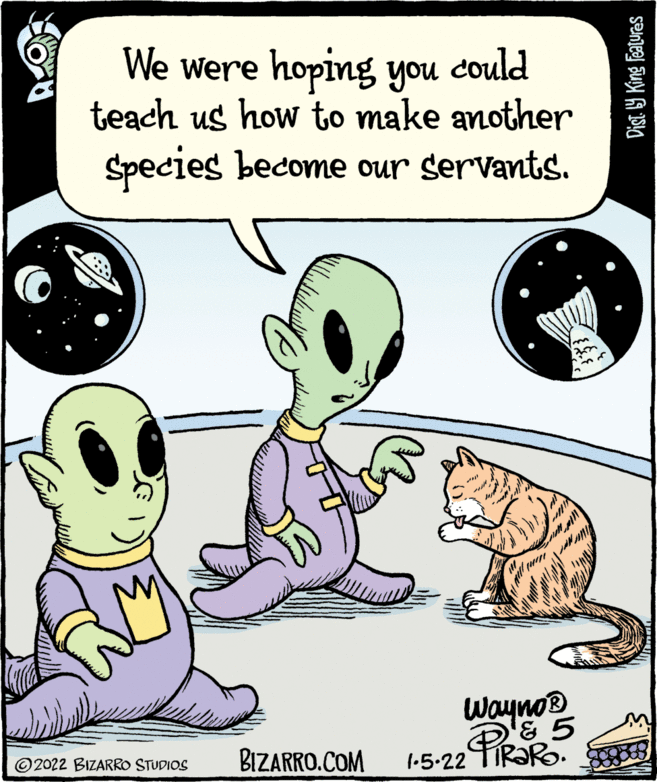 Drawing OCR: We were hoping you could teach us how to make another Species become our servants. Wayno® & 5 1-5-22 TIR?R. © 2022 BIZARRO STUDIOS BIZARRO.COM Dist. 19 King Featuras We were hoping you could teach us how to make another Species become our servants. Wayno® & 5 1-5-22 TIR?R. © 2022 BIZARRO STUDIOS BIZARRO.COM Dist. 19 King Featuras