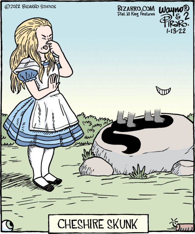 Drawing OCR: © 2022 BIZARRO STUDIOS BIZARRO.COM Wayno Dist. by King Features PRORO. 1•13.22 CHESHIRE SKUNK © 2022 BIZARRO STUDIOS BIZARRO.COM Wayno Dist. by King Features PRORO. 1•13.22 CHESHIRE SKUNK