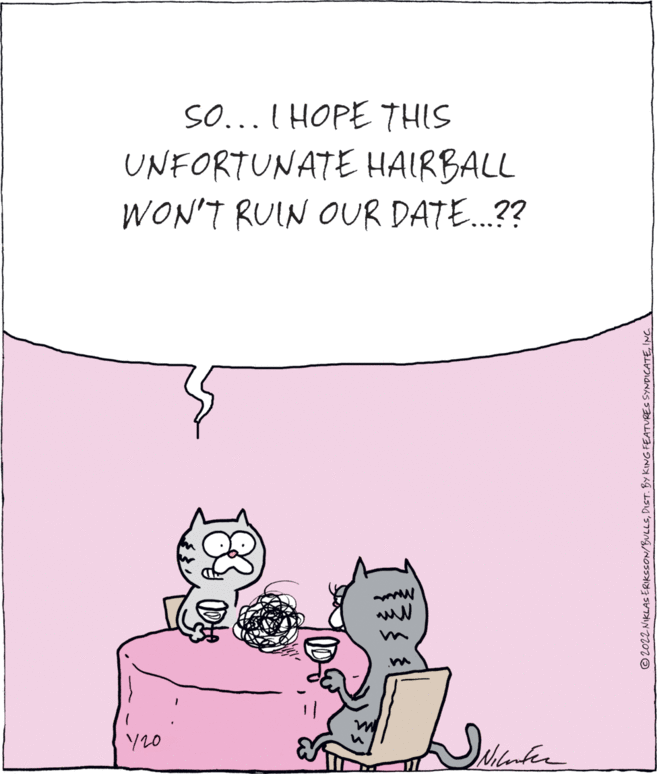 Conversation OCR: So... I HOPE THIS UNFORTUNATE HAIRBALL WON'T RUIN OUR DATE.?? Y20 Wilenfer © 2022 NIKLAS ERIKSSON/BULLSINC. So... I HOPE THIS UNFORTUNATE HAIRBALL WON'T RUIN OUR DATE.?? Y20 Wilenfer © 2022 NIKLAS ERIKSSON/BULLSDIST. BY KING FEATURES SYNDICATE