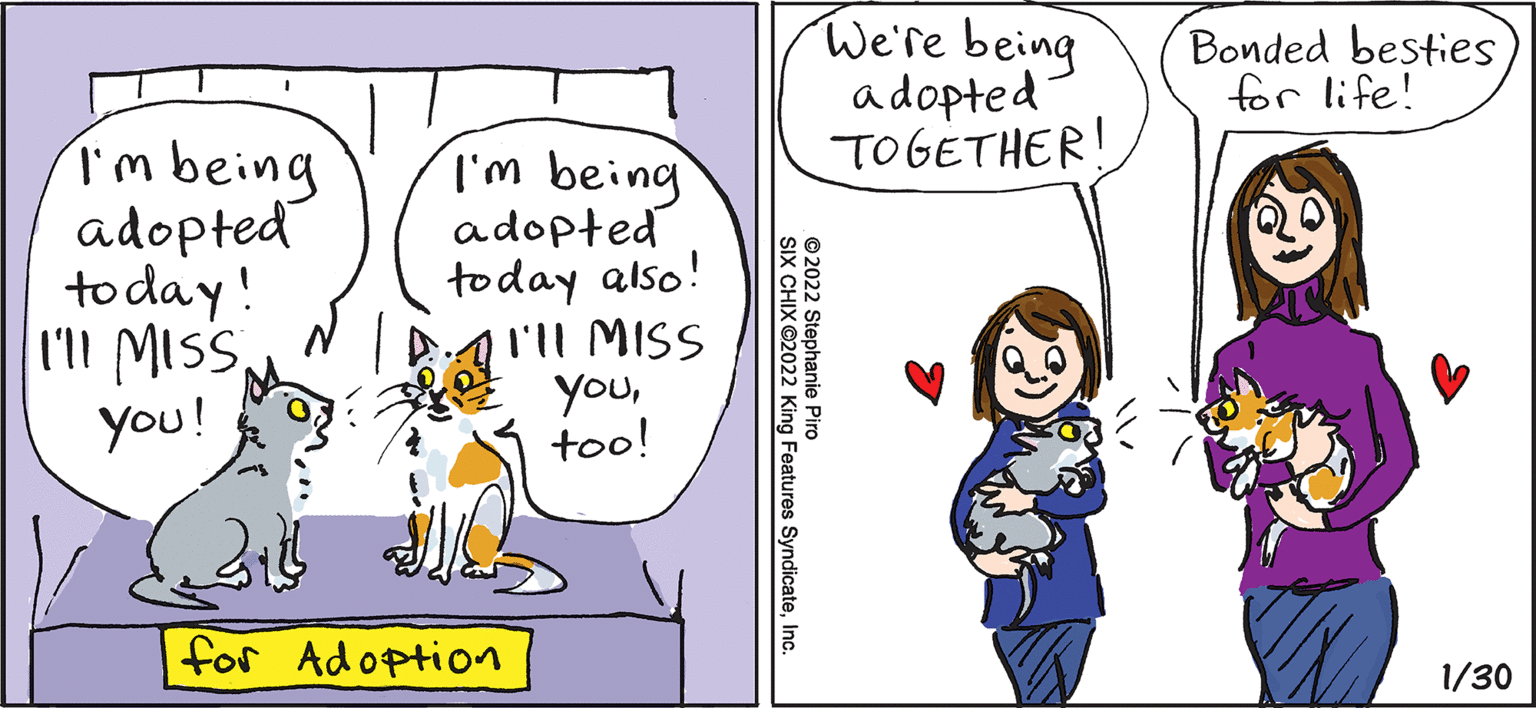 Human body OCR: SIX CHIX BY STEPHANIE PIRO We're being adopted TOGETHER! Bonded besties for life! I'mbeing adopted to day! l'll MISyou! I'm being adopted today also! A4 l'll MISS youtoo! for Adoption 1/30 © 2022 Stephanie Piro SIX CHIX ©2022 King Features SyndicateInc SIX CHIX BY STEPHANIE PIRO We're being adopted TOGETHER! Bonded besties for life! I'mbeing adopted to day! l'll MISyou! I'm being adopted today also! A4 l'll MISS youtoo! for Adoption 1/30 © 2022 Stephanie Piro SIX CHIX ©2022 King Features Syndicate