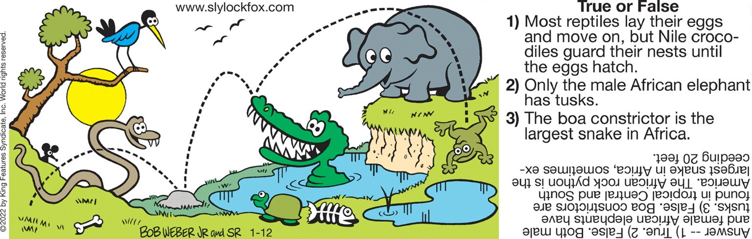 Mammal OCR: www.slylockfox.com True or False 1) Most reptiles lay their eggs and move onbut Nile croco- diles guard their nests until the eggs hatch. 2) Only the male African elephant has tusks. 3) The boa constrictor is the largest snake in Africa. largest snake in Africasometimes ex- ceeding 20 feet. found in tropical Central and South tusks. 3) False. Boa constrictors are and female African elephants have Answer -- 1) True. 2) False. Both male America. The African rock python is the ws MI MI VA BOB WEBER JR Omd SR 1-12 www.slylockfox.com True or False 1) Most reptiles lay their eggs and move onbut Nile croco- diles guard their nests until the eggs hatch. 2) Only the male African elephant has tusks. 3) The boa constrictor is the largest snake in Africa. largest snake in Africasometimes ex- ceeding 20 feet. found in tropical Central and South tusks. 3) False. Boa constrictors are and female African elephants have Answer -- 1) True. 2) False. Both male America. The African rock python is the ws MI MI VA BOB WEBER JR Omd SR 1-12