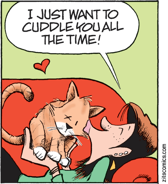 Happy OCR: I JUST WANT TO CUDDLE KOUALL THE TIME! zitscomics.com I JUST WANT TO CUDDLE KOUALL THE TIME! zitscomics.com