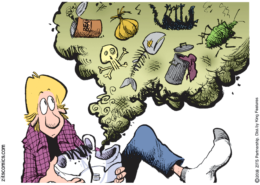 Illustration OCR: zitscomics.com O2018 ZITS Partnership. Dist.by King Features zitscomics.com O2018 ZITS Partnership. Dist.by King Features