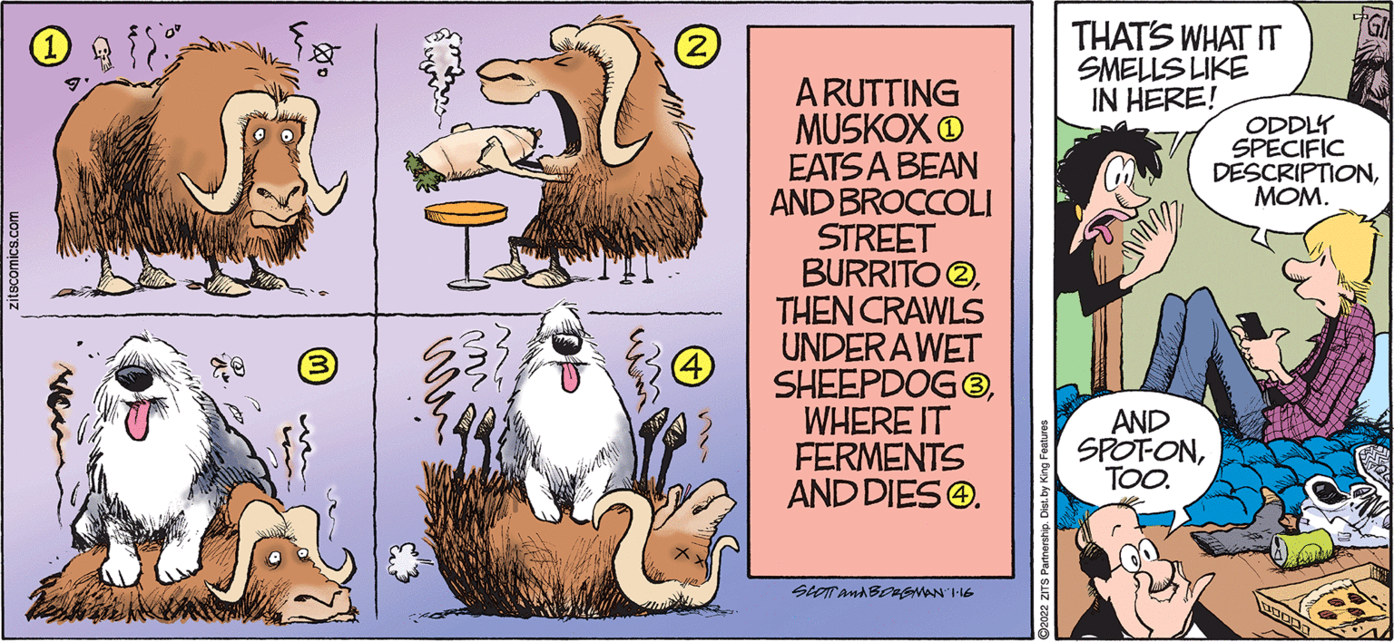 Snout OCR: THATS WHAT IT SMELLS LIKE IN HERE! ARUTTING MUSKOX O EATS A BEAN AND BROCCOLI STREET BURRITO OTHEN CRAWLS UNDERAWET SHEEPDOG®WHERE IT FERMENTS AND DIES@. ODDLY SPECIFIC DESCRIPTIONMOM. AND SPOT-ONTOO. itscomics.com THATS WHAT IT SMELLS LIKE IN HERE! ARUTTING MUSKOX O EATS A BEAN AND BROCCOLI STREET BURRITO OTHEN CRAWLS UNDERAWET SHEEPDOG®WHERE IT FERMENTS AND DIES@. ODDLY SPECIFIC DESCRIPTIONMOM. AND SPOT-ONTOO. itscomics.com