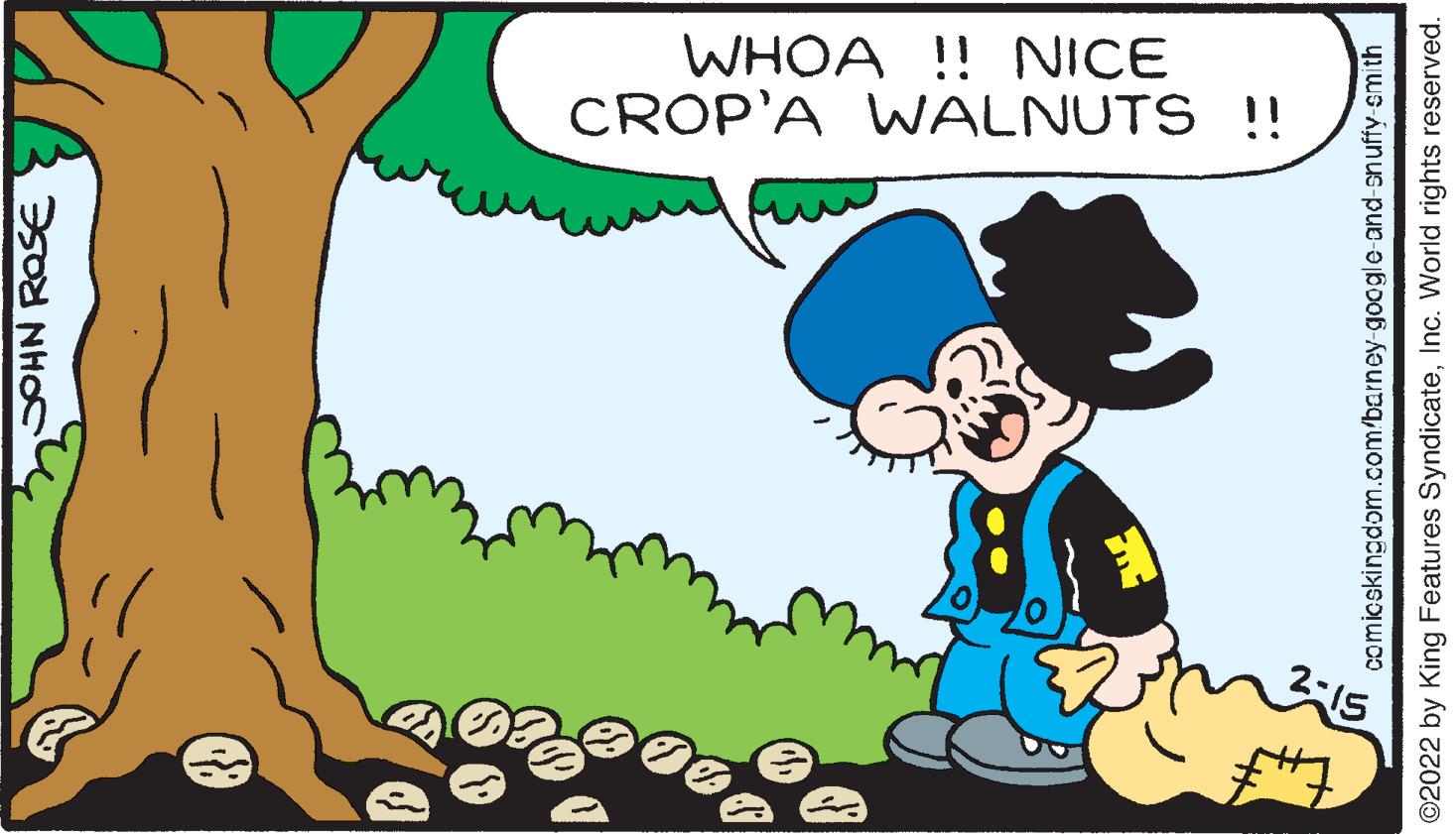 Happy OCR: WHOA !! NICE CROP'A WALNUTS !! SOHN ROSE comicskingdom.com/barney-google-and-snuffy-smith ©2022 by King Features SyndicateInc. World rights reserved. WHOA !! NICE CROP'A WALNUTS !! SOHN ROSE comicskingdom.com/barney-google-and-snuffy-smith ©2022 by King Features SyndicateInc. World rights reserved.