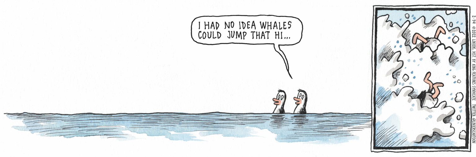 Drawing OCR: I HAD NO IDEA WHALES COULD JUMP THAT HI.. I HAD NO IDEA WHALES COULD JUMP THAT HI..