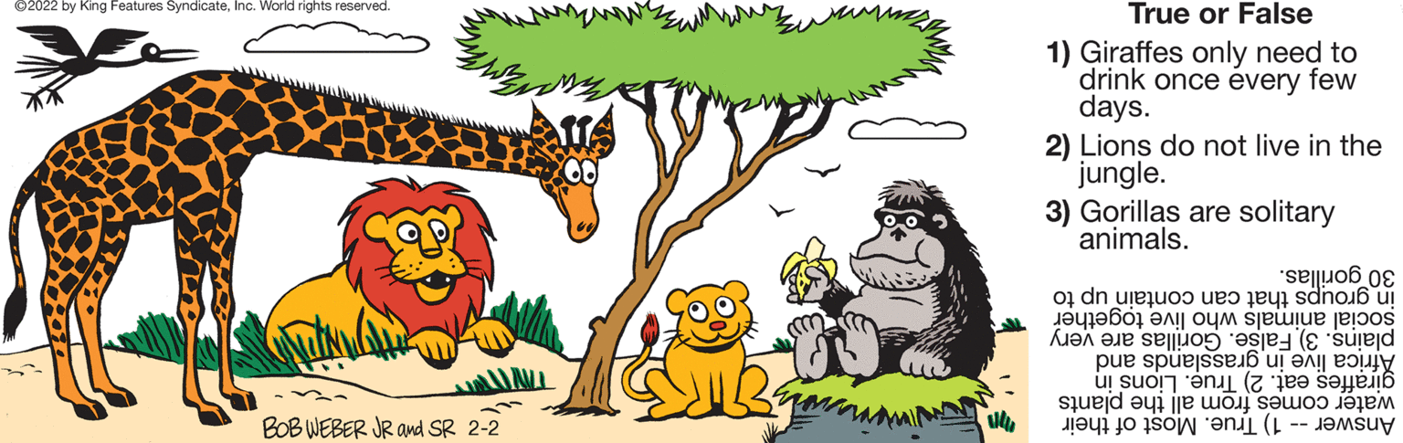 Mammal OCR: ©2022 by King Features SyndicateInc. World rights reserved. True or False 1) Giraffes only need to drink once évery few days. 2) Lions do not live in the jungle. 3) Gorillas are solitary animals. 30 gorillas. in can contain up to social wh live together plains. False. Gorillas are very TANT giraffes eat. 2) Tru?. Lions in BOB WEBER JR awd SR 2-2 water fro all the plants Answer -- 1) True. Most of their ©2022 by King Features SyndicateInc. World rights reserved. True or False 1) Giraffes only need to drink once évery few days. 2) Lions do not live in the jungle. 3) Gorillas are solitary animals. 30 gorillas. in can contain up to social wh live together plains. False. Gorillas are very TANT giraffes eat. 2) Tru?. Lions in BOB WEBER JR awd SR 2-2 water fro all the plants Answer -- 1) True. Most of their
