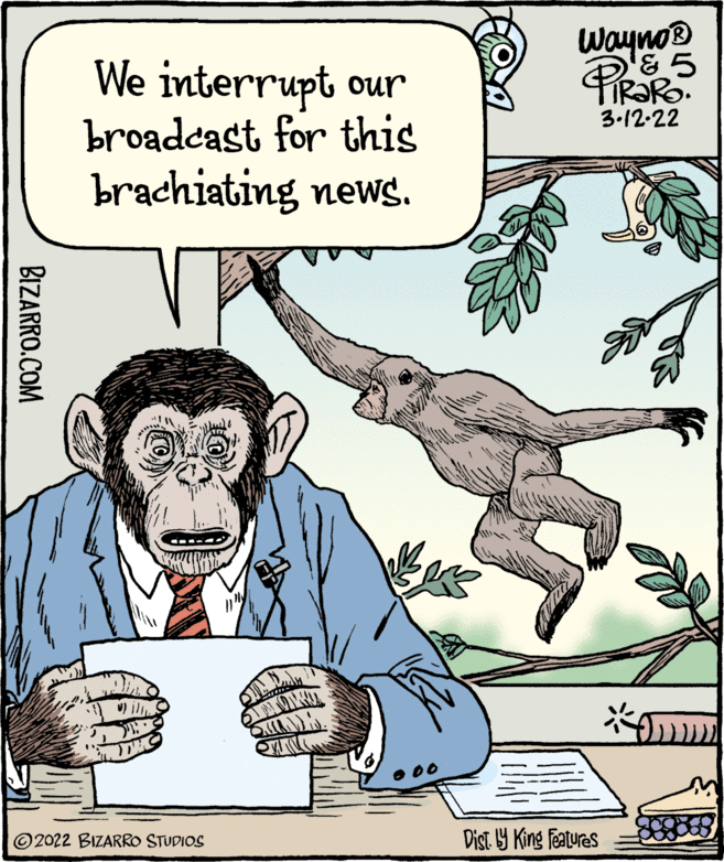 Art OCR: Wayno® We interrupt our broadcast for this brachiating news. 3.12-22 ©2022 BIZARRO STUDIOS Dist 9 King features BIZARRO.COM Wayno® We interrupt our broadcast for this brachiating news. 3.12-22 ©2022 BIZARRO STUDIOS Dist 9 King features BIZARRO.COM