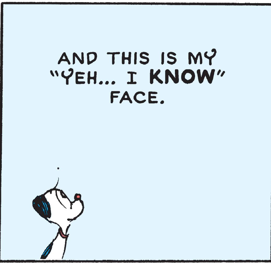 Illustration OCR: AND THIS IS MY "YEH... I KNOW" FACE. AND THIS IS MY "YEH... I KNOW" FACE.