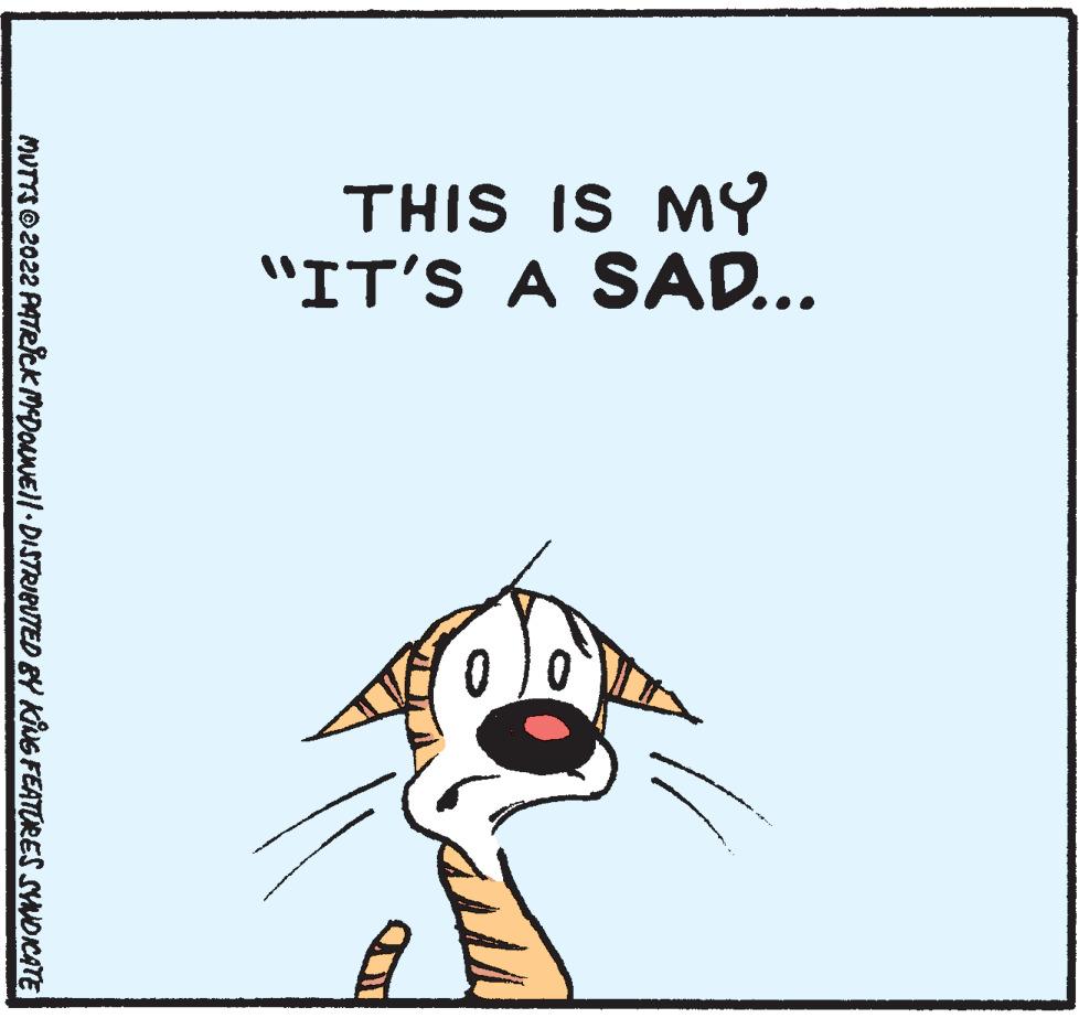 Drawing OCR: THIS IS MY "IT'S A SAD... MUTTS O 2022 PATRICK MEDOuNEll DISTRIBUTED BY KNG FEATORES SYNDICATE THIS IS MY "IT'S A SAD... MUTTS O 2022 PATRICK MEDOuNEll DISTRIBUTED BY KNG FEATORES SYNDICATE
