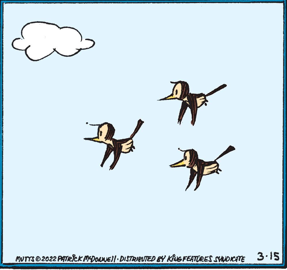 Happy OCR: MUTTS 2022 PATRICK MEDONEI DISTRIBUTED BY KiNG FEATURES SYNDICATE 3.15 MUTTS 2022 PATRICK MEDONEI DISTRIBUTED BY KiNG FEATURES SYNDICATE 3.15