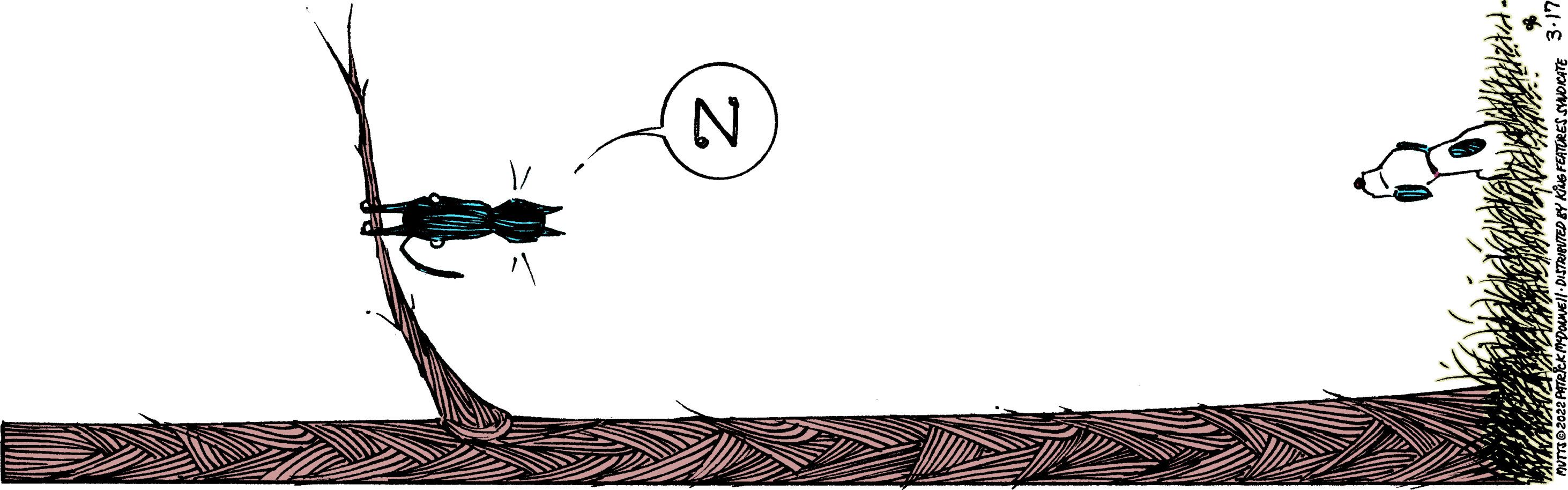 Mutts - 2022-03-17