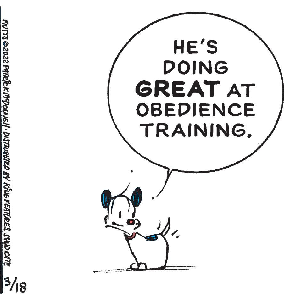 Line art OCR: HE'S DOING GREAT AT OBEDIENCE TRAINING. MUTTS 2022 PATecKMDONEll DISTRIBUTED BY KING FEATURES SYNDICATE HE'S DOING GREAT AT OBEDIENCE TRAINING. MUTTS 2022 PATecKMDONEll DISTRIBUTED BY KING FEATURES SYNDICATE