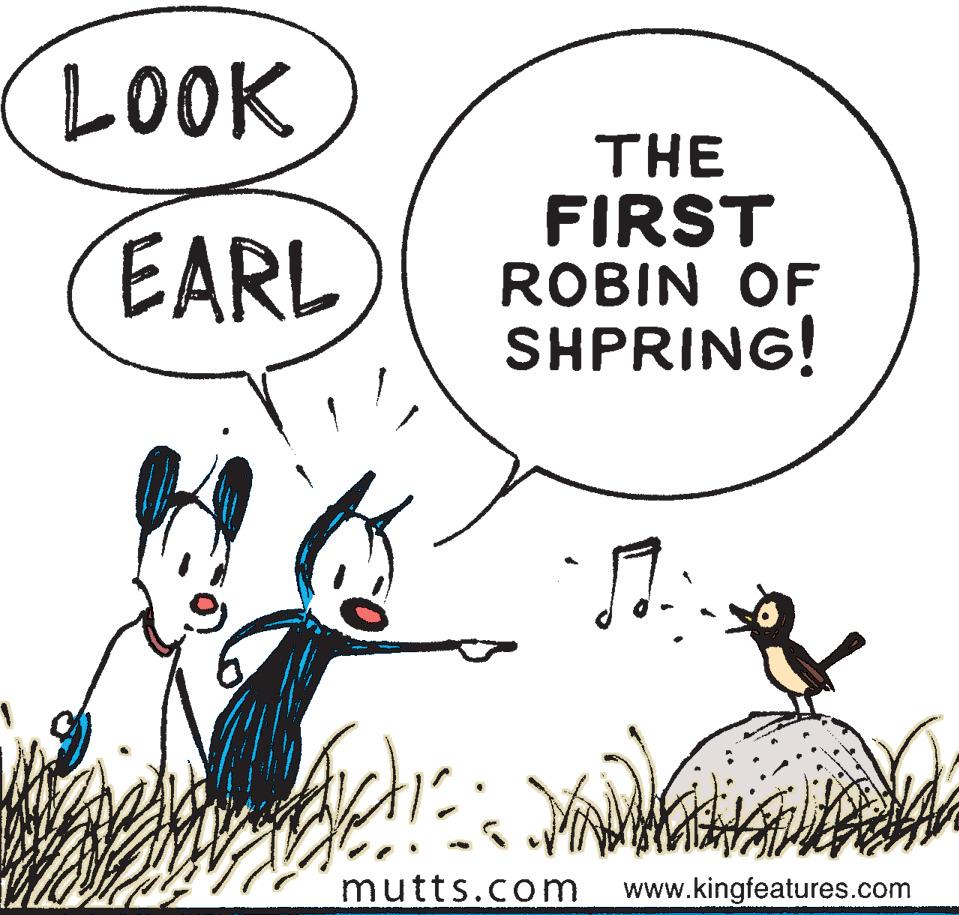 Sharing OCR: LOOK THE FIRST ROBIN OF SHPRING! EARL mutts.com www.kingfeatures.com LOOK THE FIRST ROBIN OF SHPRING! EARL mutts.com www.kingfeatures.com