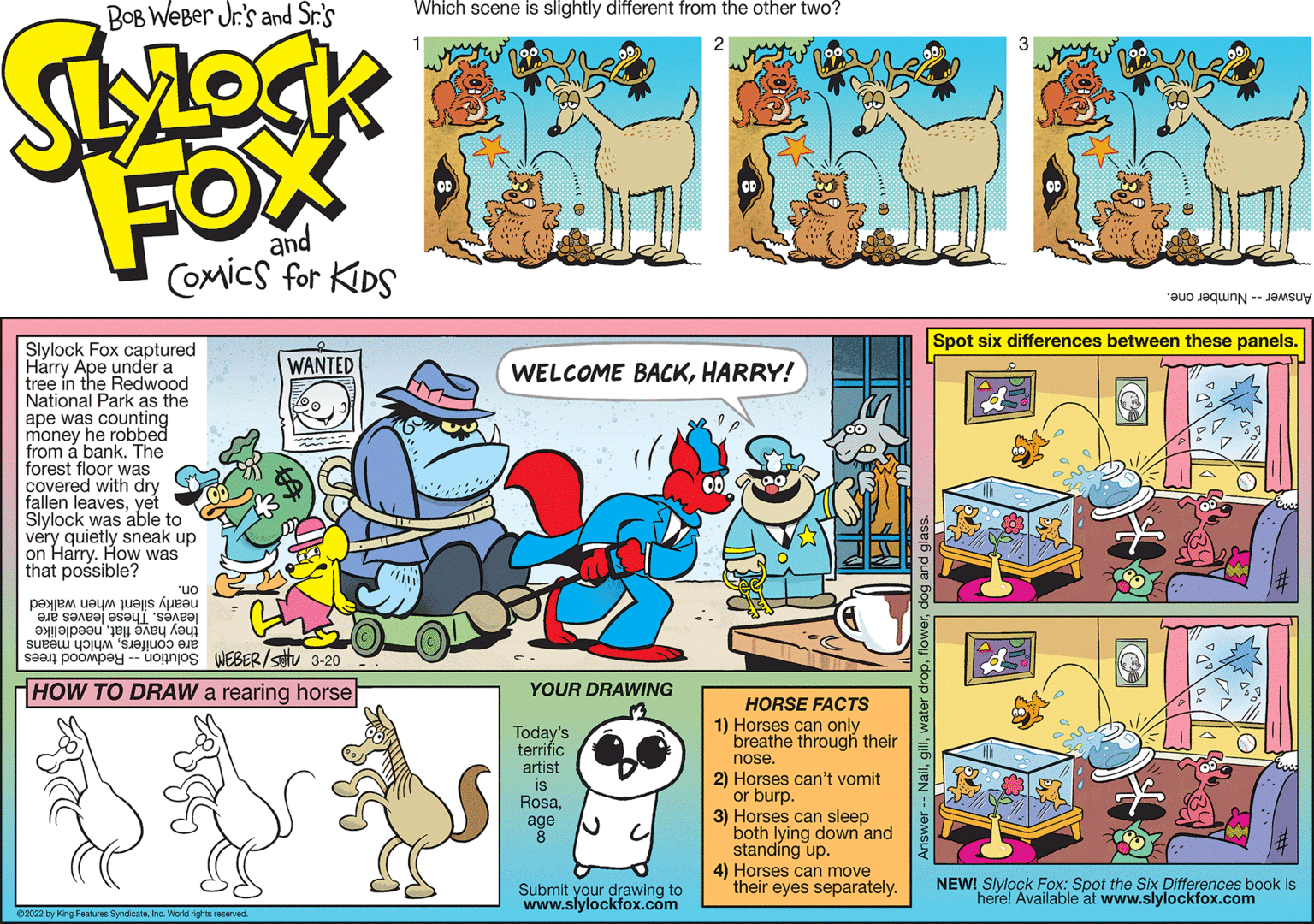 Rectangle OCR: Which scene is slightly different from the other two? BOB WeBer Jr's and Sr.'s 2 FOX and Coxmics for KDS Answer Number one. Spot six differences between these panels. Slylock Fox captured Harry Ape under a tree in the Redwood National Park as the ape was counting money he robbed from á bank. The forest floor was covered with dry fallen leavesyet Slylock was able to very quietly sneak up on Harry. How was that possible? WANTED WELCOME BACKHARRY! on. nearly silent when walked they have flatneedlelike s??n poompey -- 'uonnjos WEBER/satu 3-20 leaves. These leaves are are coniferswhich means HOW TO DRAW a rearing horse YOUR DRAWING HORSE FACTS Today's terrific 1) Horses can only breathe through their nose. artist is Rosaage 2) Horses can't vomit or burp. 3) Horses can sleep both lying down'and standíng up. 4) Horses can move their eyes separately. Submit your drawing to www.slylockfox.com NEW! Slylock Fox: Spot the Six Differences book is here! Available at www.slylockfox.com 02022 by King Fetures SyndicateInc. World rights reserved Which scene is slightly different from the other two? BOB WeBer Jr's and Sr.'s 2 FOX and Coxmics for KDS Answer Number one. Spot six differences between these panels. Slylock Fox captured Harry Ape under a tree in the Redwood National Park as the ape was counting money he robbed from á bank. The forest floor was covered with dry fallen leavesyet Slylock was able to very quietly sneak up on Harry. How was that possible? WANTED WELCOME BACKHARRY! on. nearly silent when walked they have flatneedlelike s??n poompey -- 'uonnjos WEBER/satu 3-20 leaves. These leaves are are coniferswhich means HOW TO DRAW a rearing horse YOUR DRAWING HORSE FACTS Today's terrific 1) Horses can only breathe through their nose. artist is Rosaage 2) Horses can't vomit or burp. 3) Horses can sleep both lying down'and standíng up. 4) Horses can move their eyes separately. Submit your drawing to www.slylockfox.com NEW! Slylock Fox: Spot the Six Differences book is here! Available at www.slylockfox.com 02022 by King Fetures SyndicateInc. World rights reserved