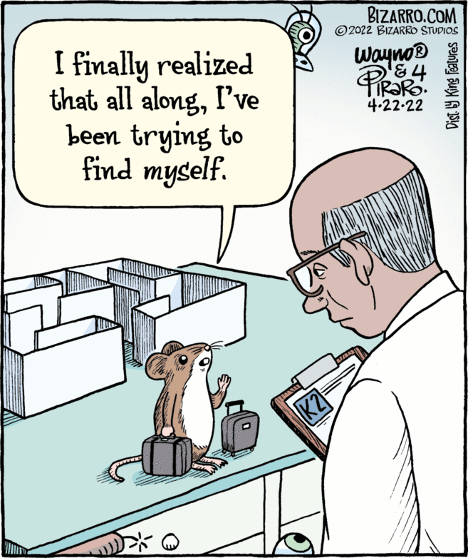 Conversation OCR: BIZARRO.COM ©2022 BIZARRO STUDIOS I finally realized that all alongI've been trying to find myself. WaynoB IR?R 4.22-22 K2 Dist. Y King Features BIZARRO.COM ©2022 BIZARRO STUDIOS I finally realized that all alongI've been trying to find myself. WaynoB IR?R 4.22-22 K2 Dist. Y King Features