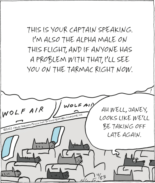 Handwriting OCR: THIS IS YOUR CAPTAIN SPEAKING. I'M ALSO THE ALPHA MALE ON THIS FLIGHTAND IF ANYONE HAS A PROBLEM WITH THATI'LL SEE YOU ON THE TARMAC RIGHT NOW. WOLF AIIY AH WELLLOOKS LIKE WE'LL WOLF AIR BE TAKING OFF LATE AGAIN. ©2022 NIKLAS ERIKSSON/BULLSINC. THIS IS YOUR CAPTAIN SPEAKING. I'M ALSO THE ALPHA MALE ON THIS FLIGHTAND IF ANYONE HAS A PROBLEM WITH THATI'LL SEE YOU ON THE TARMAC RIGHT NOW. WOLF AIIY AH WELLLOOKS LIKE WE'LL WOLF AIR BE TAKING OFF LATE AGAIN. ©2022 NIKLAS ERIKSSON/BULLSDIST. BY KING FEATURES SYNDICATE