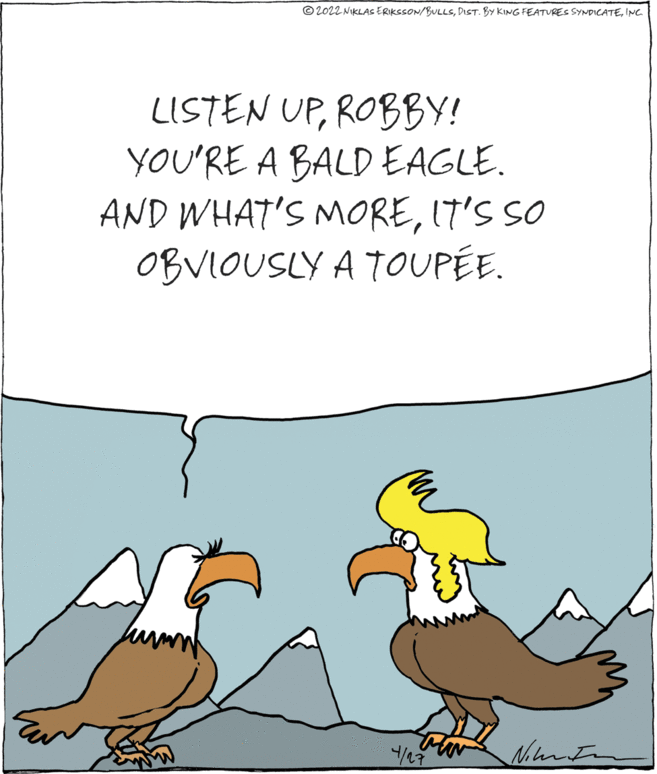 Rectangle OCR: © 2022 NIKLAS ERIKSSON/BULLSINC LISTEN UPROBBY! YOU'RE A BALD EAGLE. AND WHAT'S MOREIT'S SO OBVIOUSLY A TOUPÉE. © 2022 NIKLAS ERIKSSON/BULLSDIST. BY KING FEATURES SYNDICATEINC LISTEN UPROBBY! YOU'RE A BALD EAGLE. AND WHAT'S MOREIT'S SO OBVIOUSLY A TOUPÉE.