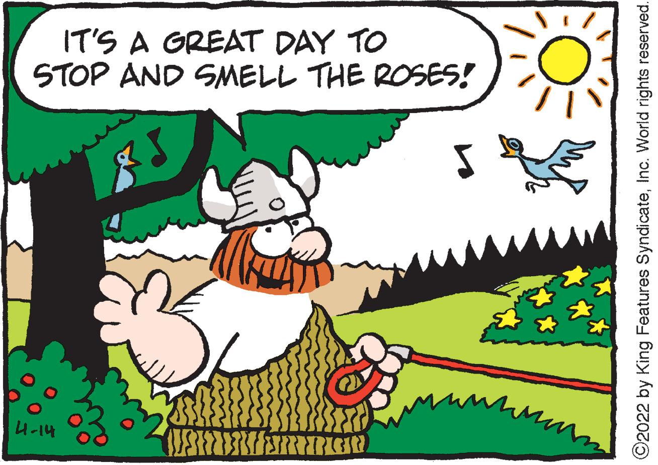 Line OCR: IT'S A GREAT DAY TO STOP AND SMELL THE ROSES! 4-14 C2022 by King Features SyndicateInc. World rights reserved. IT'S A GREAT DAY TO STOP AND SMELL THE ROSES! 4-14 C2022 by King Features SyndicateInc. World rights reserved.