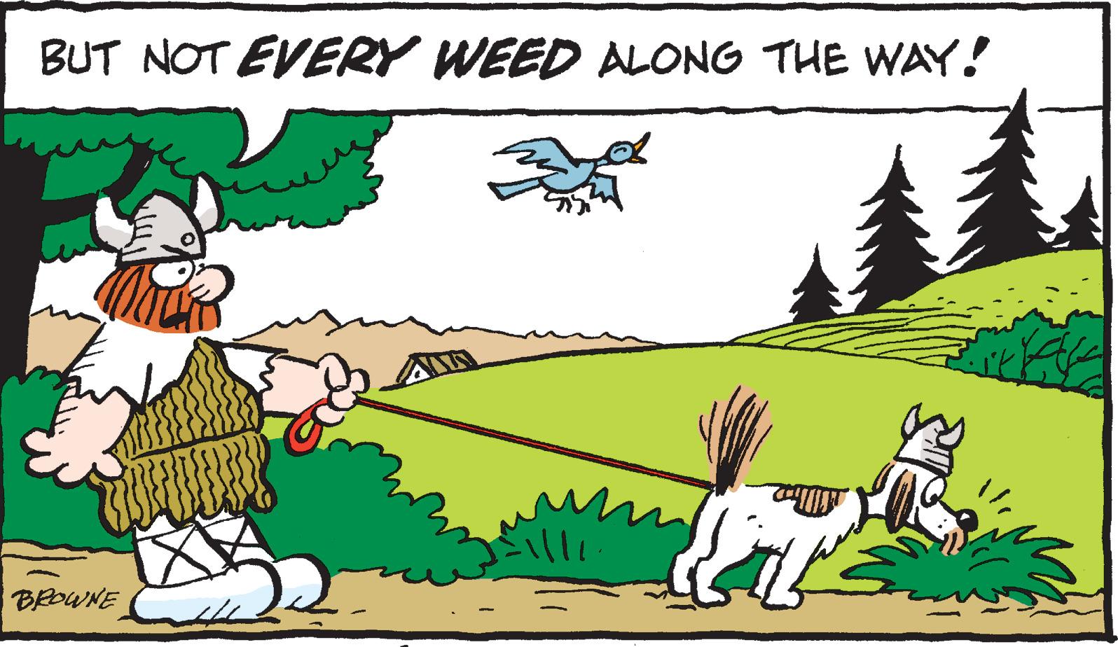Line OCR: BUT NOT EVERY WEED ALONG THE WAY! BROWNE BUT NOT EVERY WEED ALONG THE WAY! BROWNE