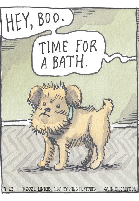 Whiskers OCR: HEYBOO. TIME FOR A BATH. 4-22 ©2022 LINIERSDIST. BY KING FEATURES @LINIERSCARTOON HEYBOO. TIME FOR A BATH. 4-22 ©2022 LINIERSDIST. BY KING FEATURES @LINIERSCARTOON