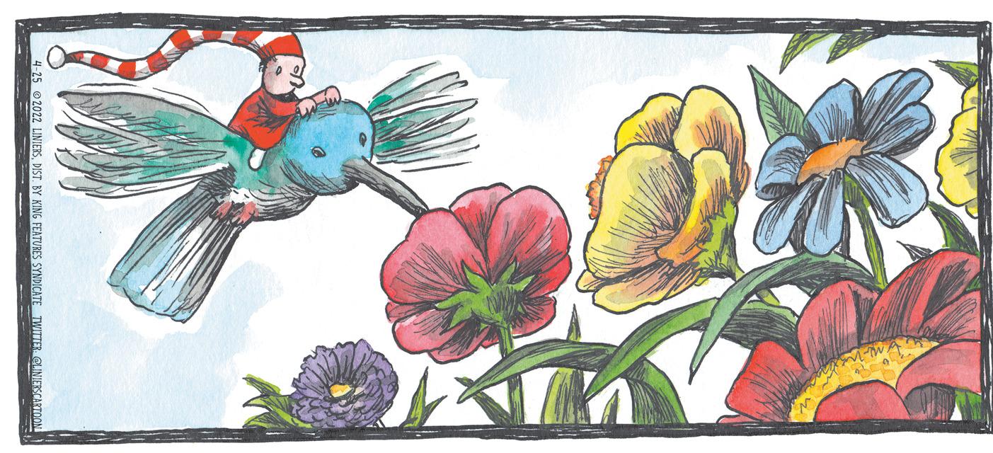 Pollinator OCR: ER @UNIESCAKTOON ER @UNIESCAKTOON