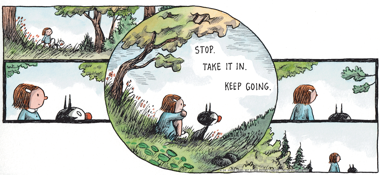 Organism OCR: STOP. TAKE IT IN. KEEP GOING. MACANUDO STOP. TAKE IT IN. KEEP GOING. MACANUDO